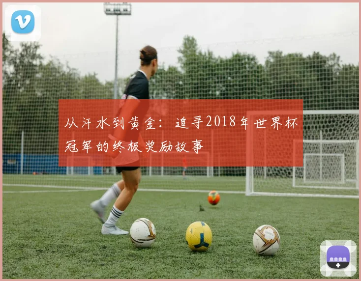 从汗水到黄金：追寻2018年世界杯冠军的终极奖励故事