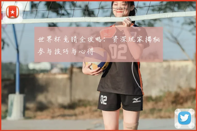 世界杯竞猜全攻略：资深玩家揭秘参与技巧与心得