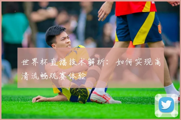 世界杯直播技术解析：如何实现高清流畅观赛体验