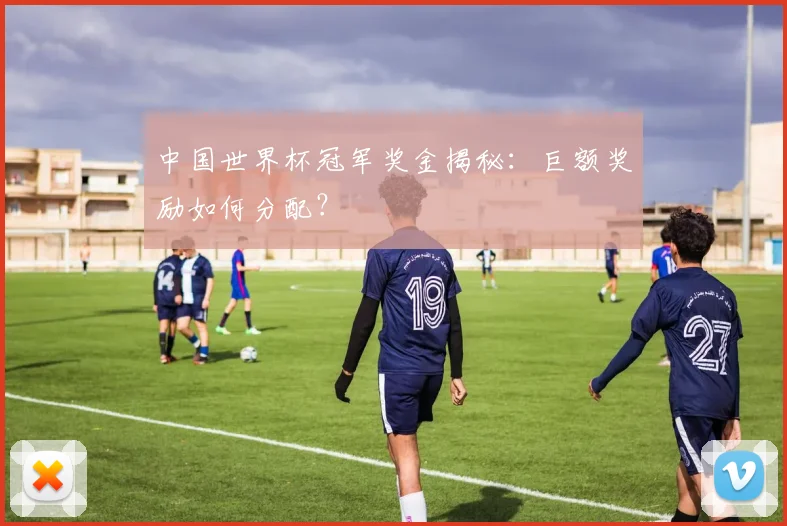 中国世界杯冠军奖金揭秘：巨额奖励如何分配？