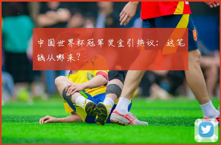 中国世界杯冠军奖金引热议：这笔钱从哪来？