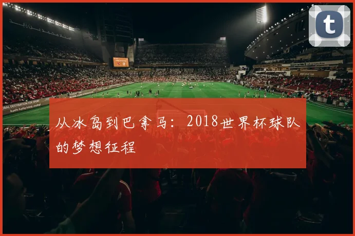 从冰岛到巴拿马：2018世界杯球队的梦想征程