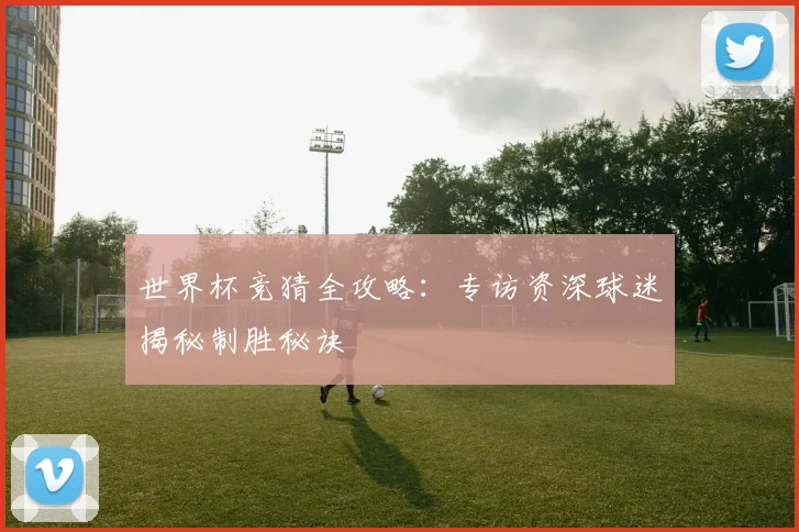 世界杯竞猜全攻略：专访资深球迷揭秘制胜秘诀
