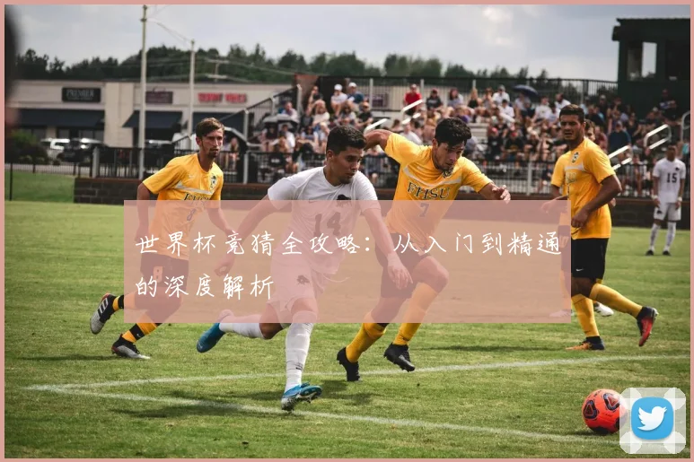 世界杯竞猜全攻略：从入门到精通的深度解析